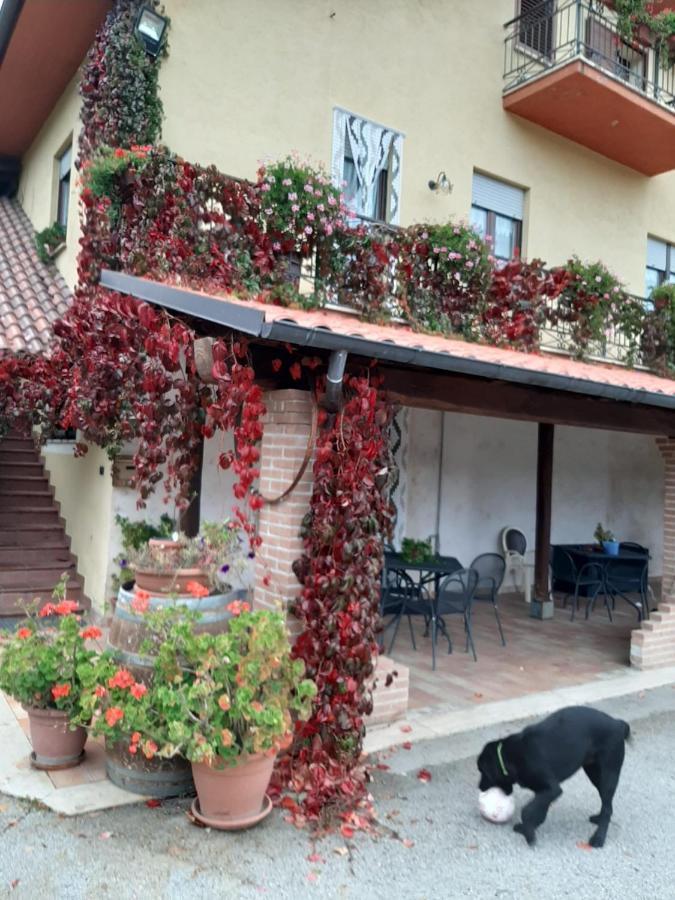 Cagnano Amiterno Le Stanze Di Bacco 빌라 외부 사진